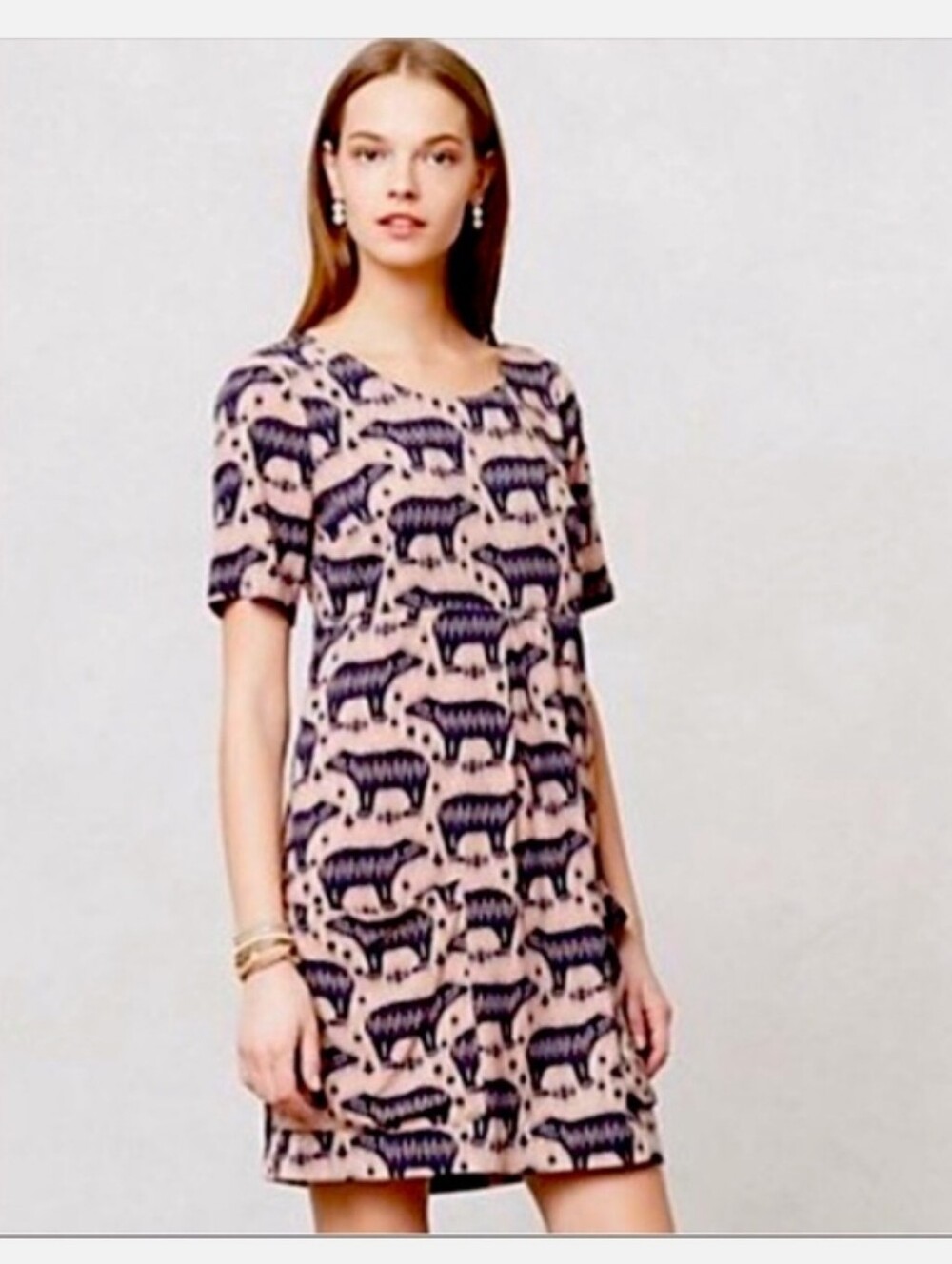 Anthropologie Sz 0 Maeve Bear Print Dress
